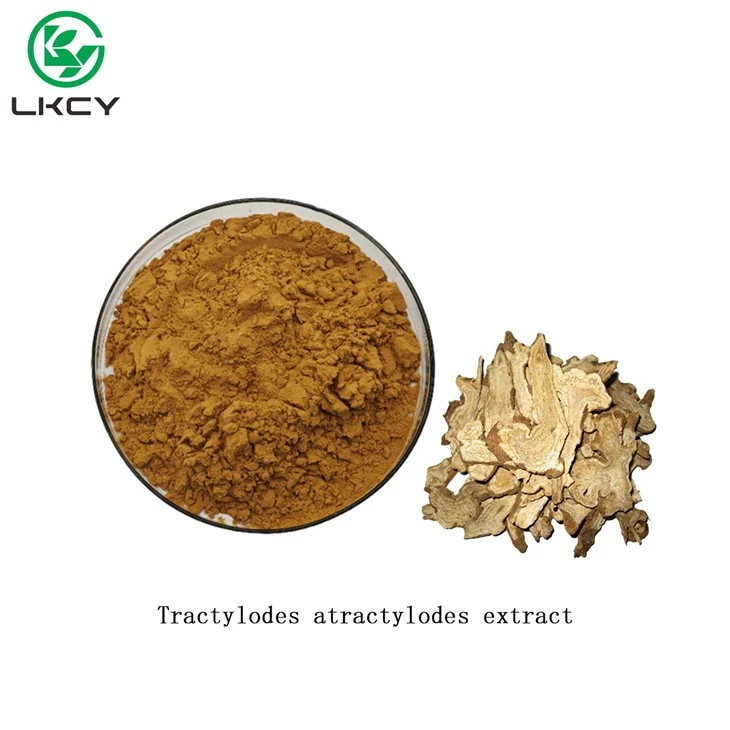 Tractylodes Extracte d'atractylodes